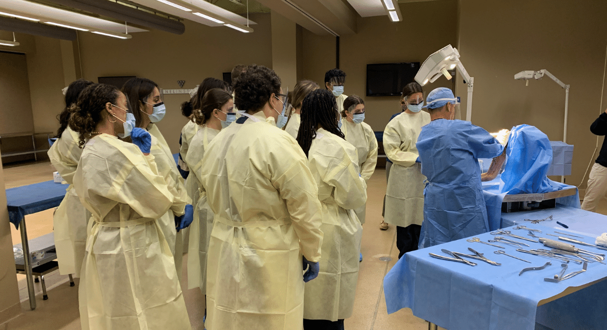 Students Dissect Human Cadavers At Venel Institute   Venel Institute Visit 